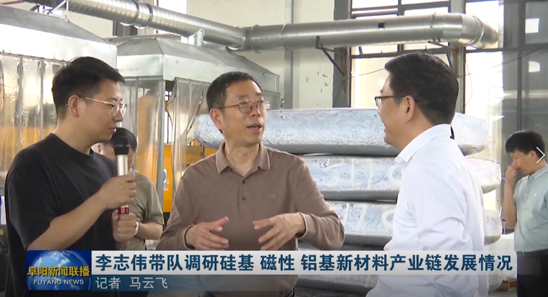 李志伟带队调研硅基、磁性、铝基新材料产业链发展
